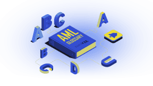 AML Glossary: Key Acronyms And Definitions To Know - AMLYZE