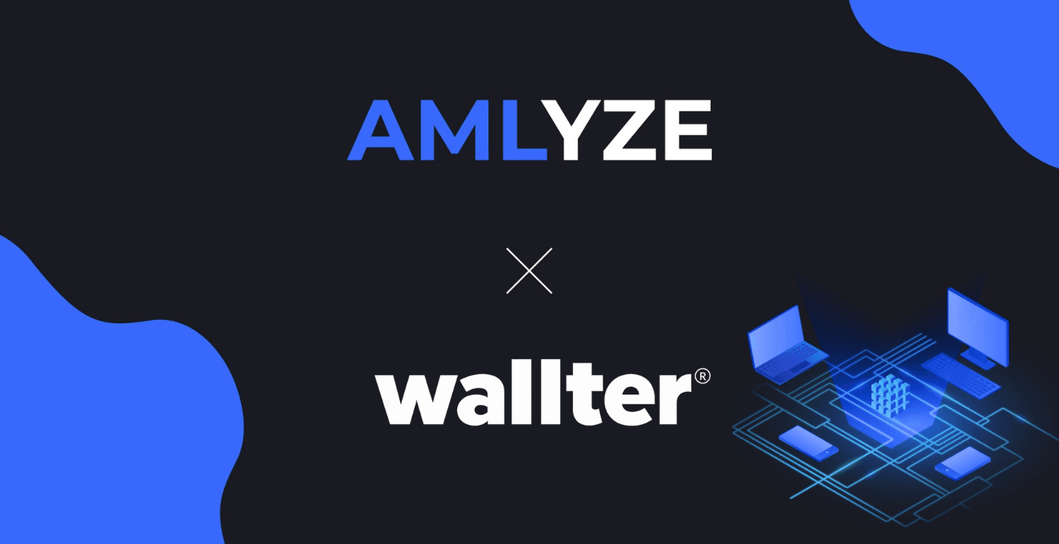 AMLYZE x Wallter