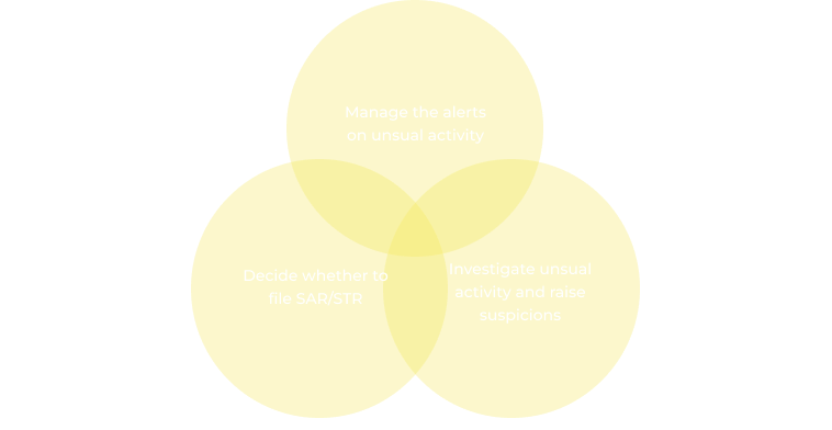 Basic components for effective ML internal investigation process