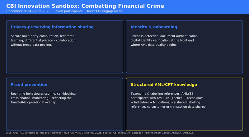The Central Bank of Ireland’s first Innovation Sandbox cohort (December 2024 – June 2025), by problem area.